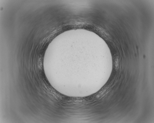 X0000059831204200511181439