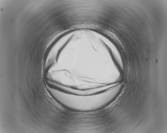 X0000059831228200511181439