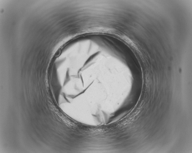 X0000059831230200511181439