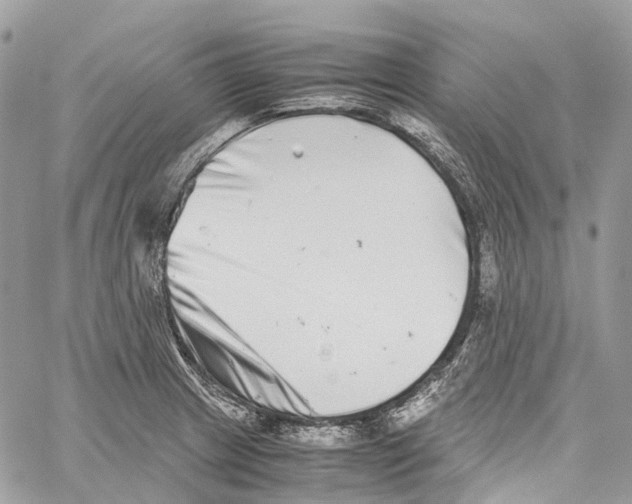 X0000059831233200511181439
