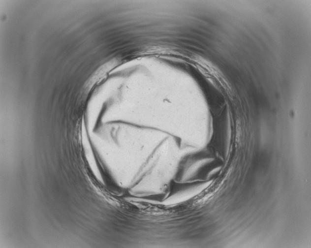 X0000059831241200511181440