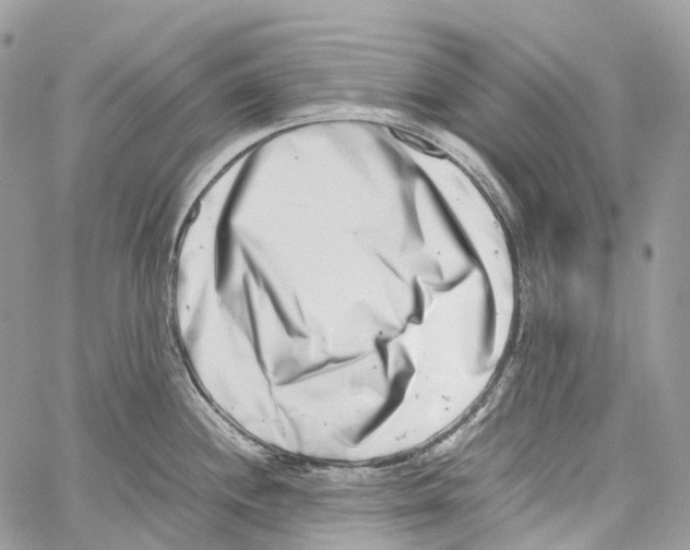 X0000059831244200511181440