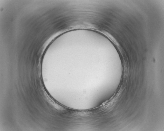 X0000059831246200511181440