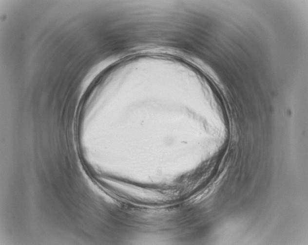 X0000059831247200511181440