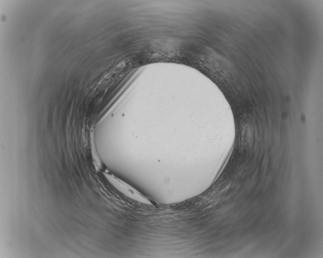 X0000059831250200511181439