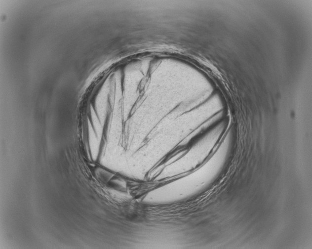 X0000059831263200511181439