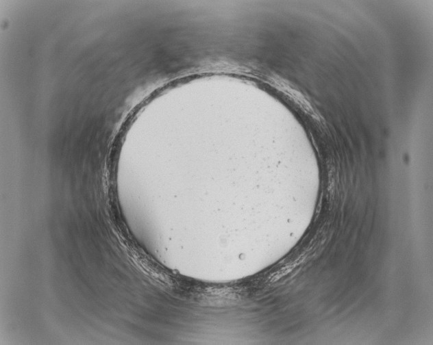 X0000059831264200511181439
