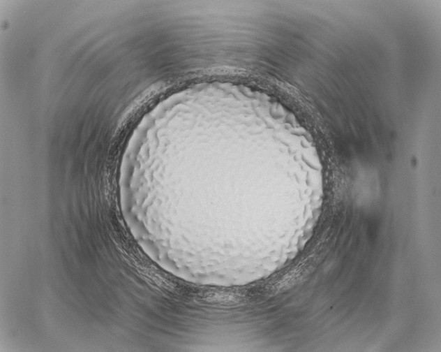 X0000059831266200511181439