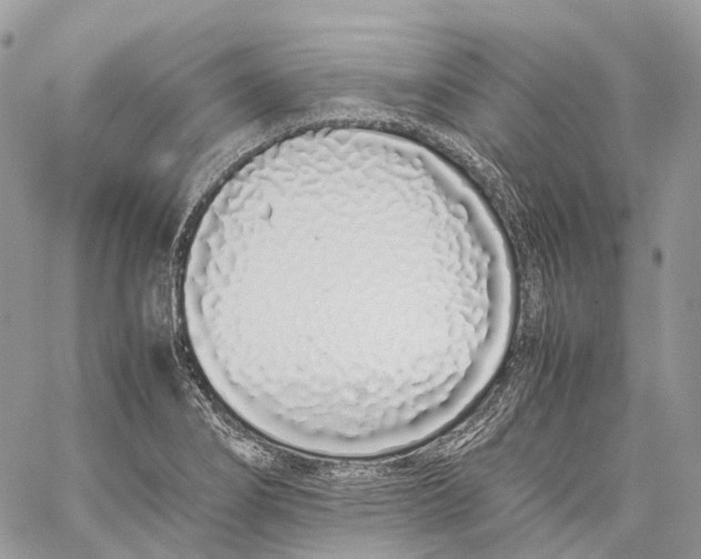 X0000059831274200511181438