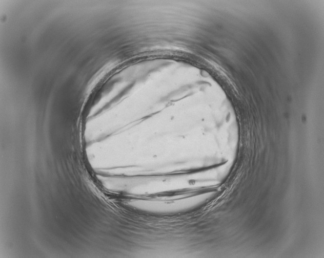 X0000059831275200511181438