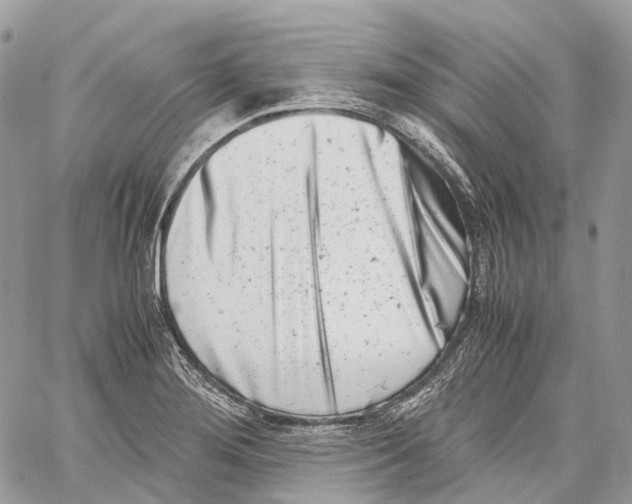 X0000059831276200511181438