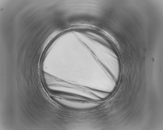 X0000059831283200511181438
