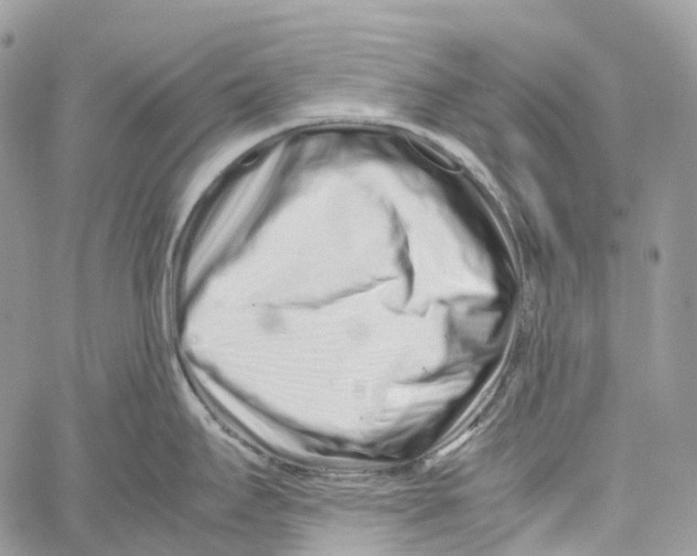 X0000059831295200511181438