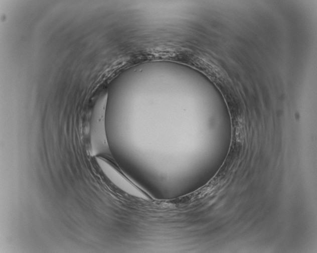 X0000059831298200511181437