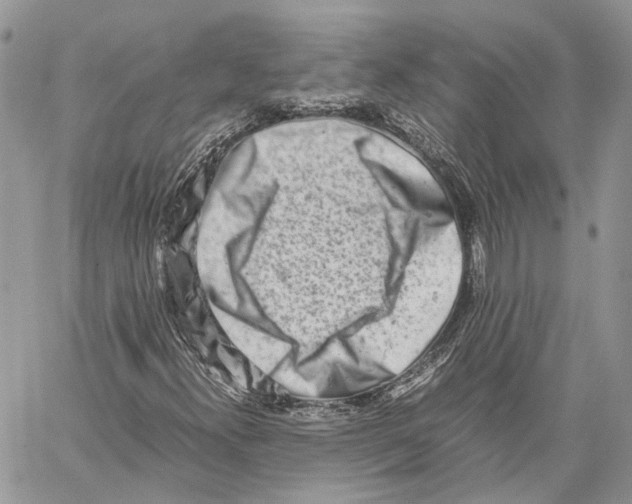 X0000059831300200511181437