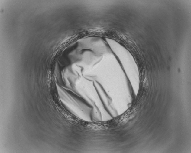 X0000059831301200511181437