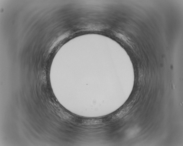 X0000059831307200511181437