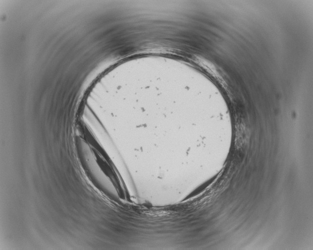 X0000059831331200511181438