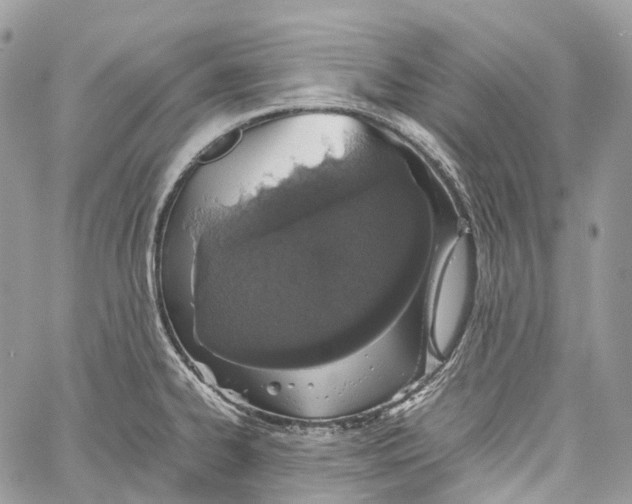 X0000059831334200511181438