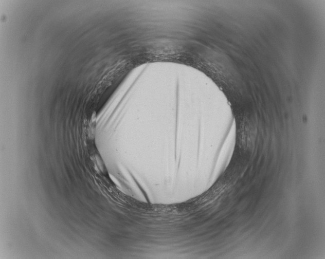 X0000059831346200511181437