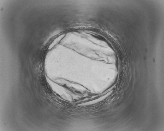 X0000059831351200511181437