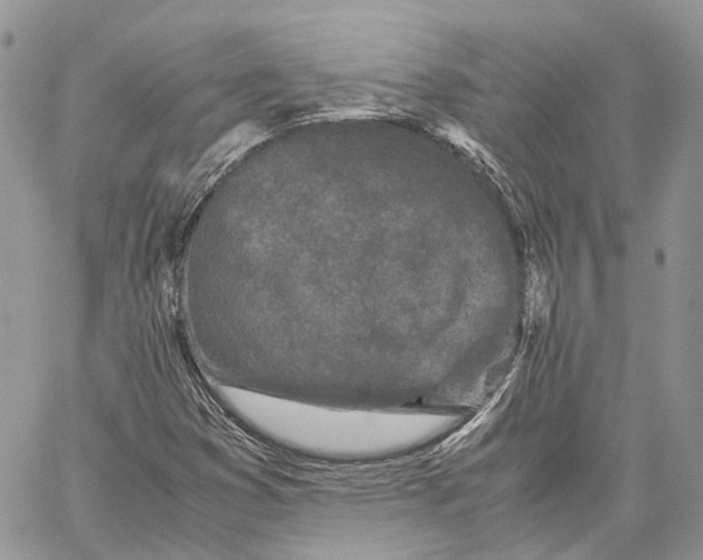 X0000059831353200511181437