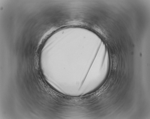 X0000059831358200511181437