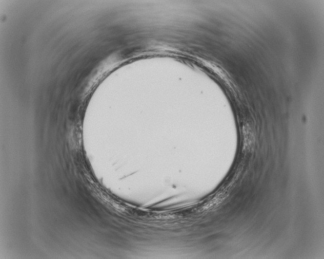 X0000059831363200511181437