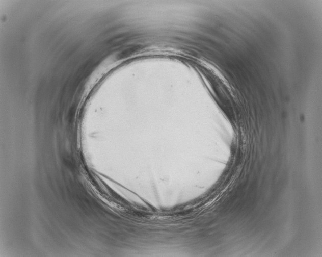 X0000059831371200511181437
