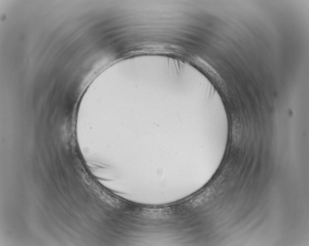 X0000059831378200511181437