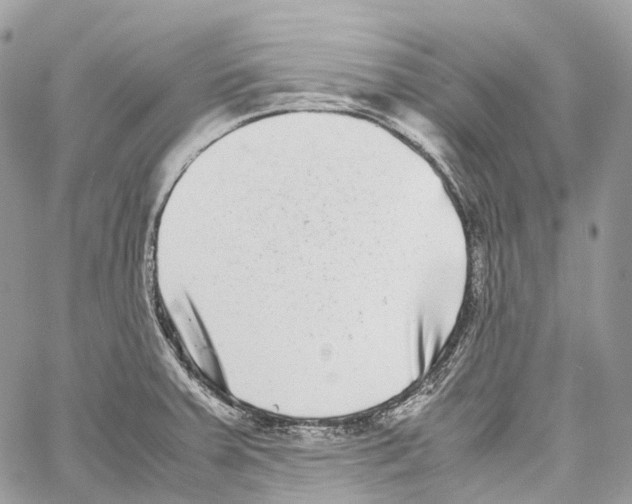 X0000059831379200511181437