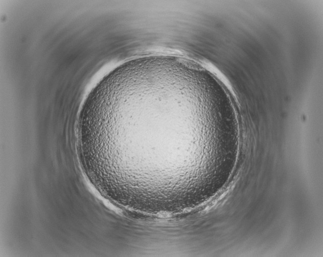 X0000059831381200511181437
