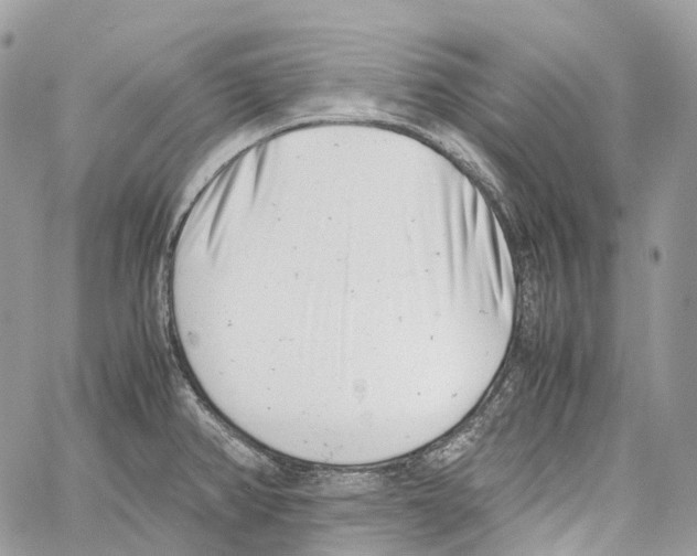 X0000059831382200511181437