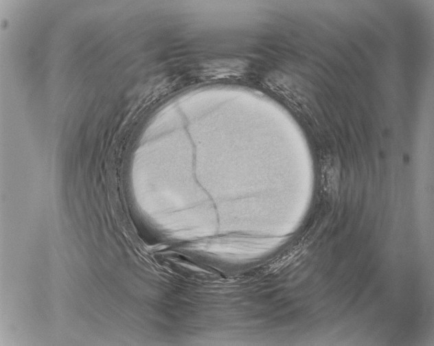 X0000059831393200511181436
