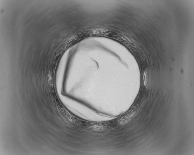 X0000059831395200511181436