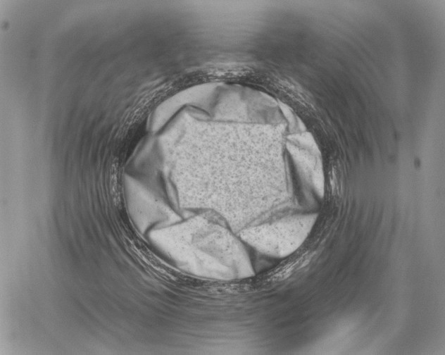 X0000059831396200511181436