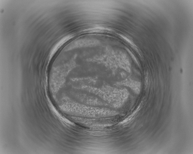 X0000059831418200511181436