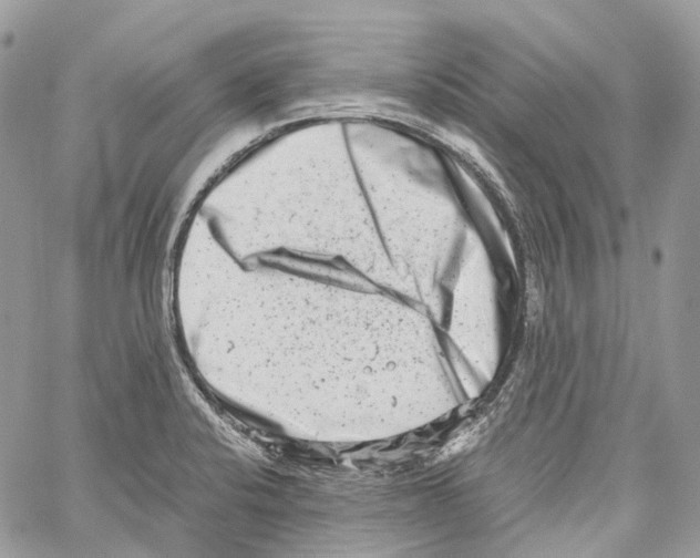 X0000059831424200511181436