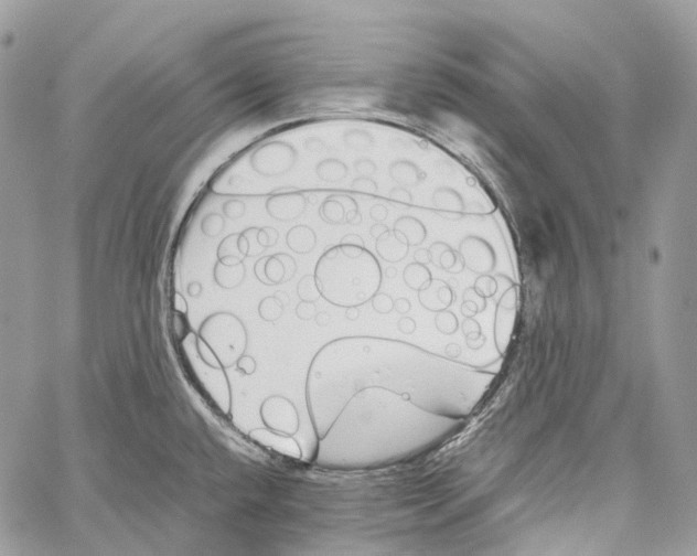 X0000059831432200511181436