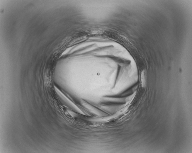 X0000059831443200511181436