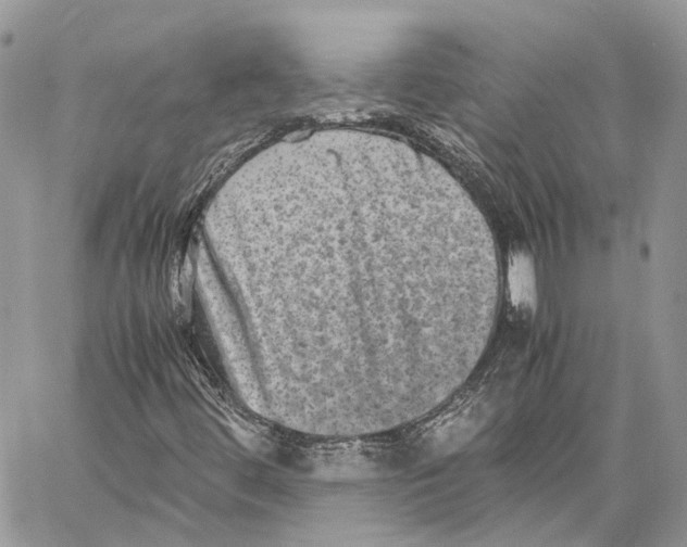 X0000059831444200511181436