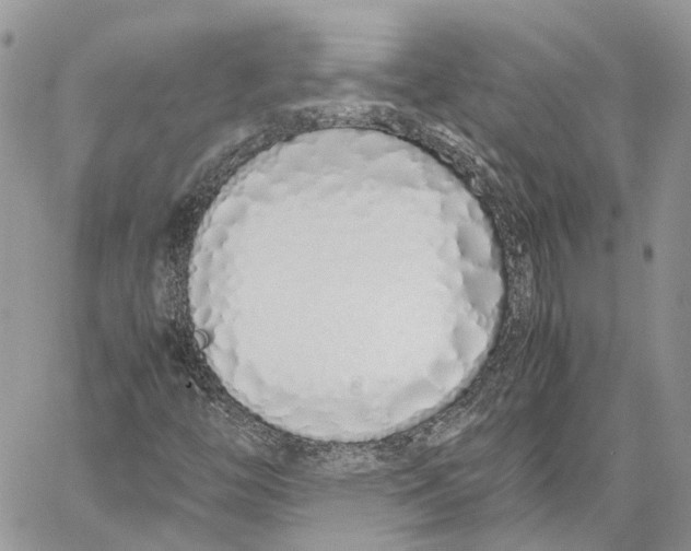 X0000059831446200511181436