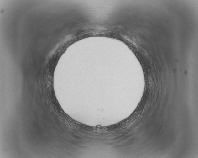 X0000059831447200511181436