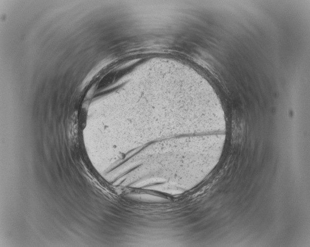 X0000059831450200511181436