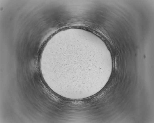 X0000059831452200511181436