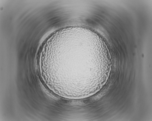 X0000059831466200511181435