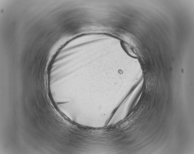 X0000059831472200511181435