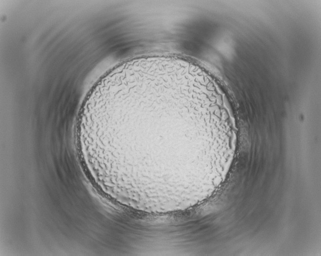 X0000059831474200511181435