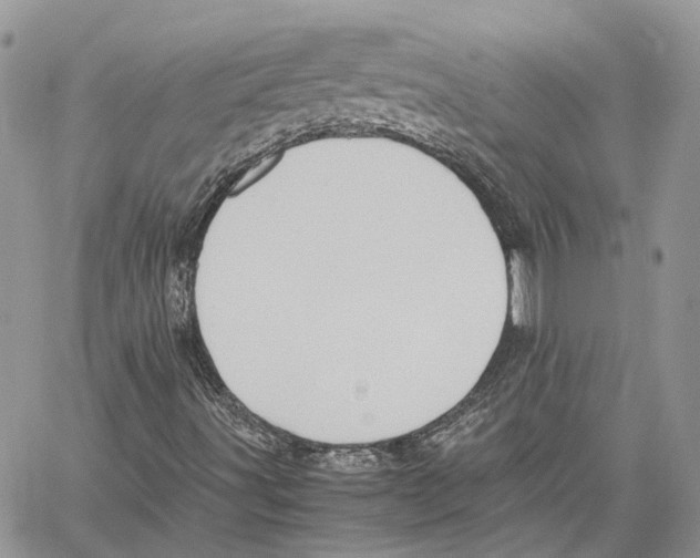 X0000059831491200511181434