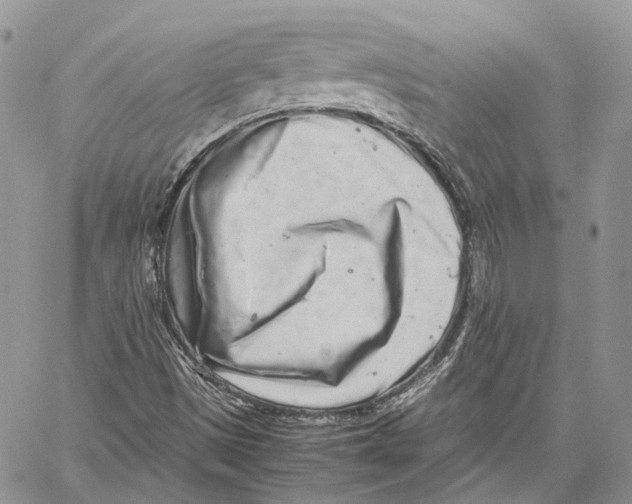X0000059831497200511181434